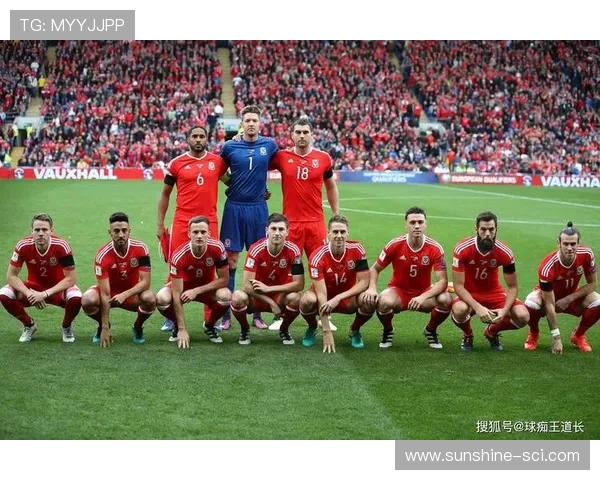 武汉羽毛球队在世界杯预选赛中的团队协作表现分析与启示