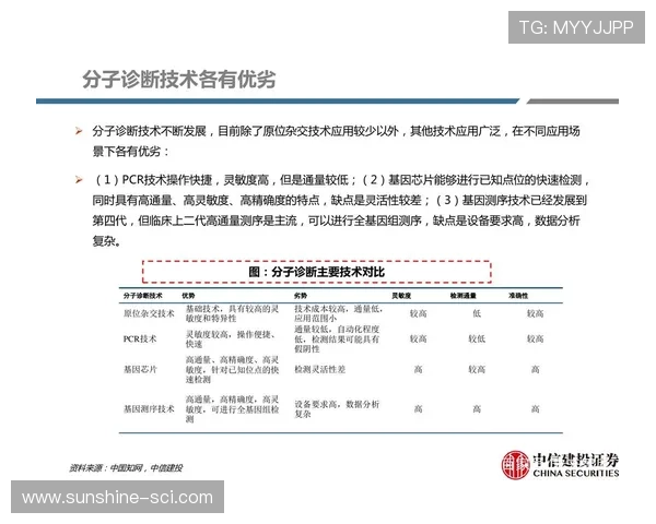 武汉足球队与深圳足球队赛后复盘分析意识与战术的深度探讨 武汉足球队与深圳足球队赛后复盘分析意识与战术的深度探讨