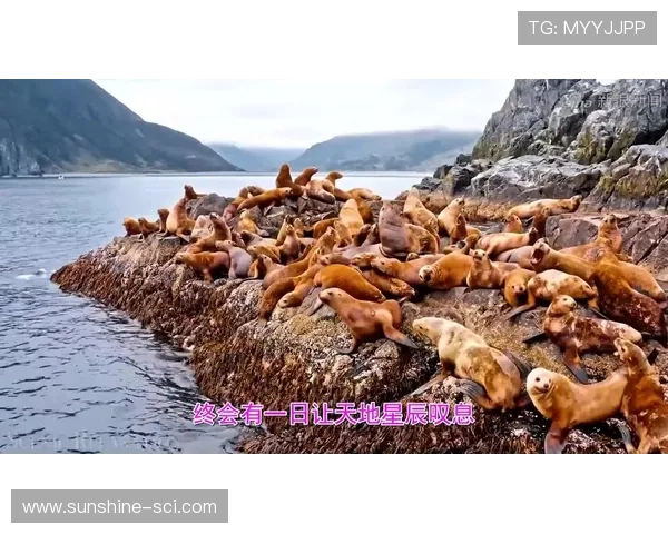 足球明星陪你入梦助眠体验让你在夜晚感受运动的魅力与宁静