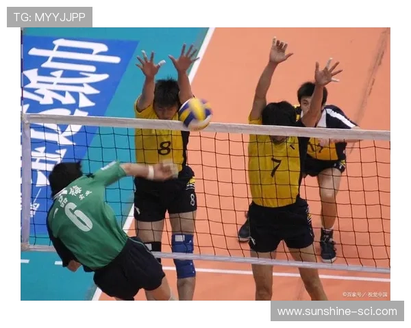 杭州排球队团队协作的创新变革与热议背后的故事