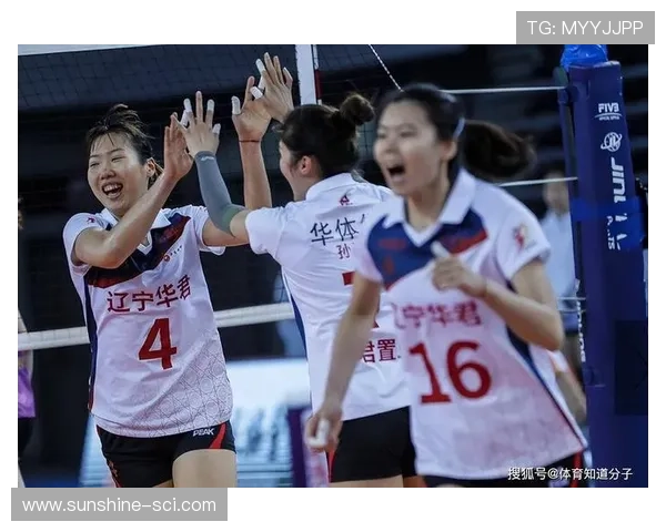 武汉排球队战术实力强劲荣登全国排球战术排行榜第二名