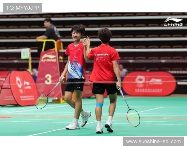 南京羽毛球队在全国羽毛球状态排行榜中荣登第八名展现出强劲实力与潜力